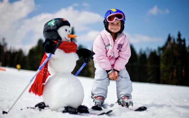 Chalet in Sankt Georgen on Ski Slopes