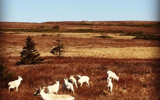 The Convent Guesthouse