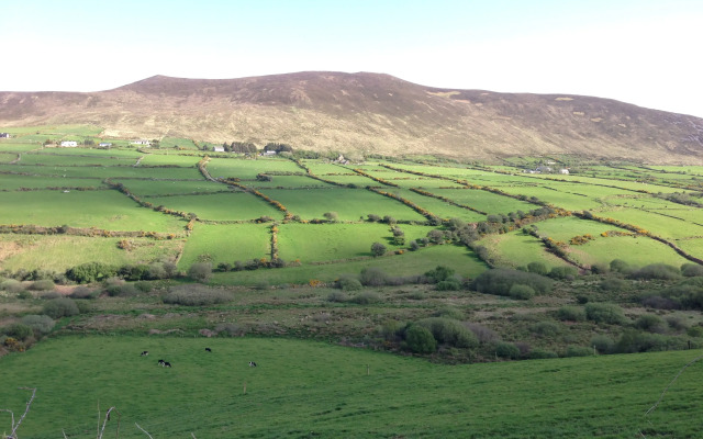 Dingle Benners Hotel