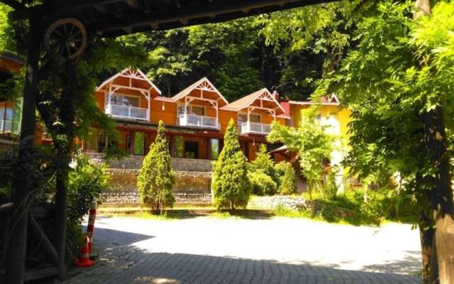 maşukiye dream homes
