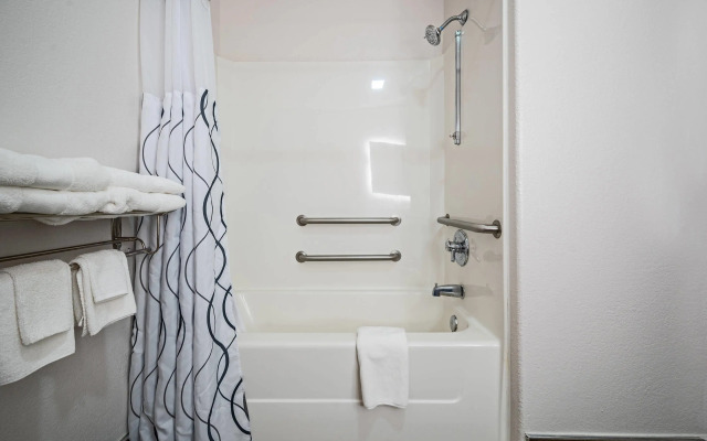 The Leo Collection Detroit, Ascend Hotel Collection
