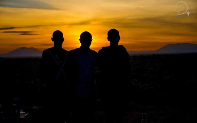 Amanya 2-rooms Lioness Family