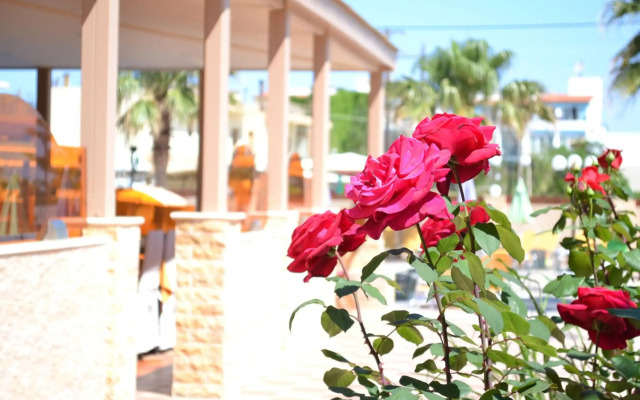 Hotel Palladion