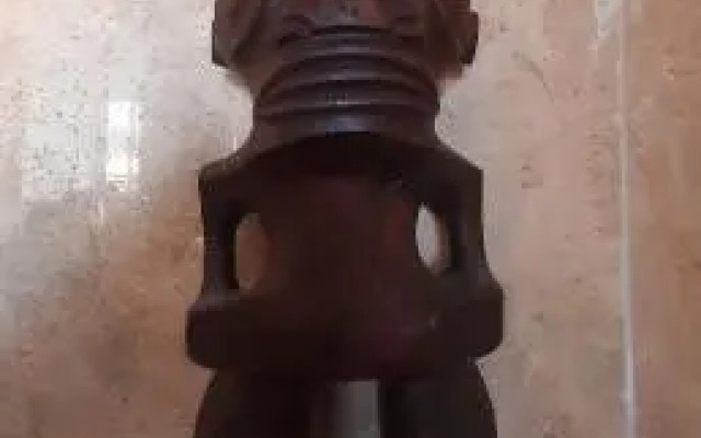 Vista abierta TIGRE 3 personas