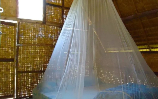 Giant House Riverside