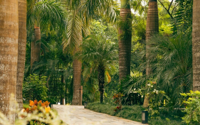 Kasara Resort - Chitwan National Park