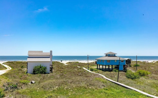 Moon Doggie 6 by RedAwning