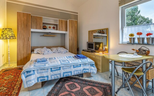 Amazing Apartment in Liznjan With