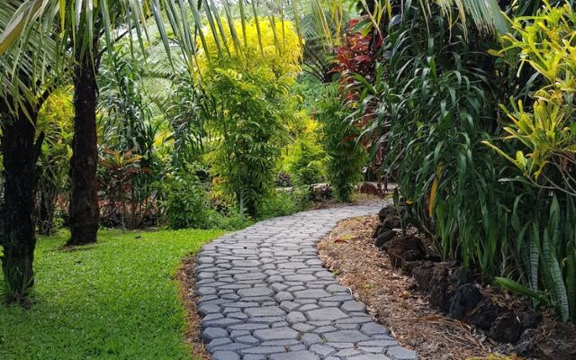 Sacred Garden Fiji