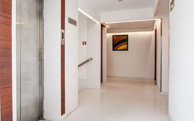 ZO Cherry Tree Palasia