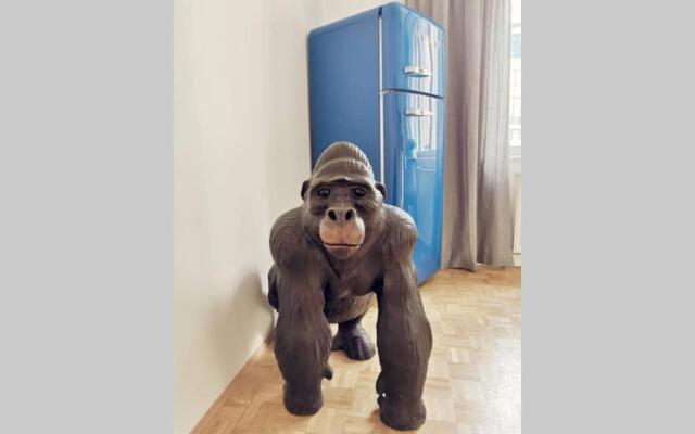 THE GORILLA - Central Station 100 meters away