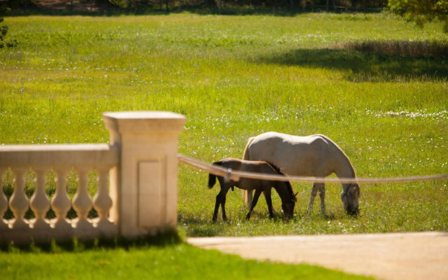 Hôtel Domaine de Biar