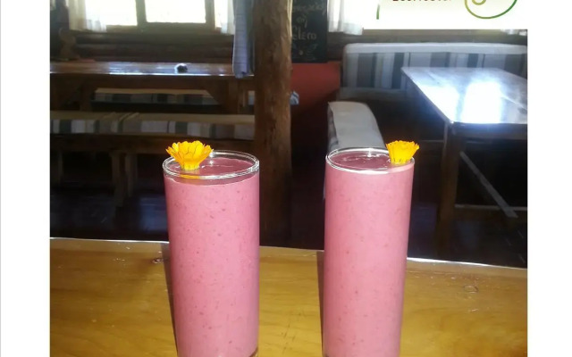 El Pueblito Ecohostel