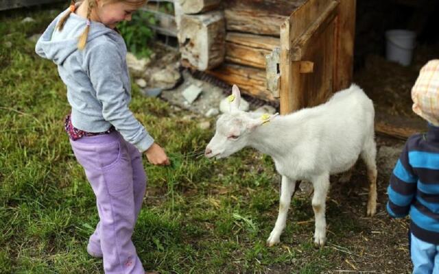 Farm Resort Geislerhof