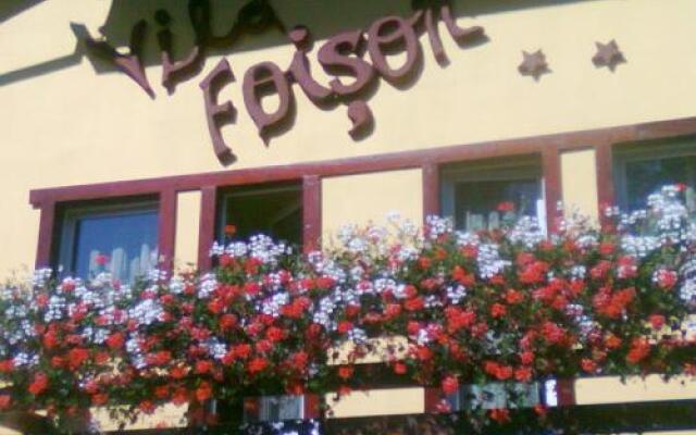 Vila Foisor