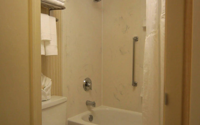 Holiday Inn Charleston Riverview by IHG