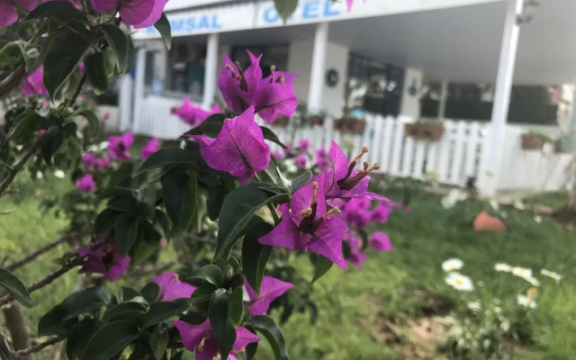 Otel Kumsal