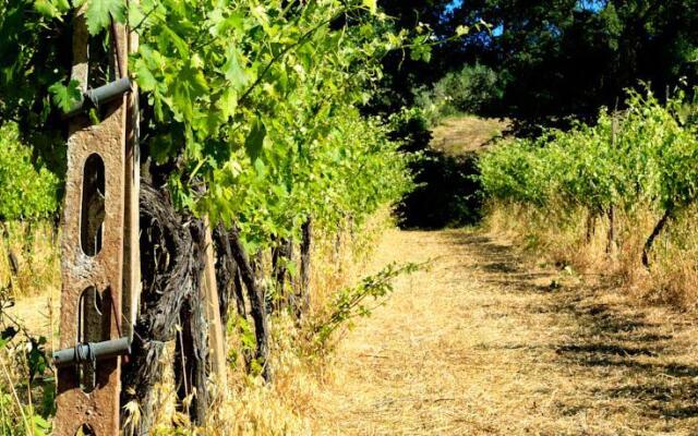 Tenuta Cavalieri Di Scanzano