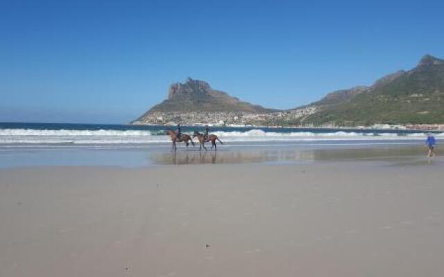 Sandpiper's Nest - Hout Bay