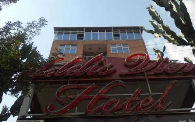 Addis View Hotel