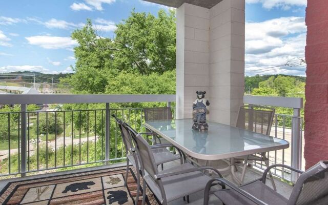 Bear Crossing by VTrips