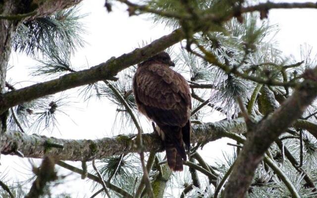 Les Reves de Flamboin