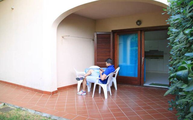 Vecchio Ulivo