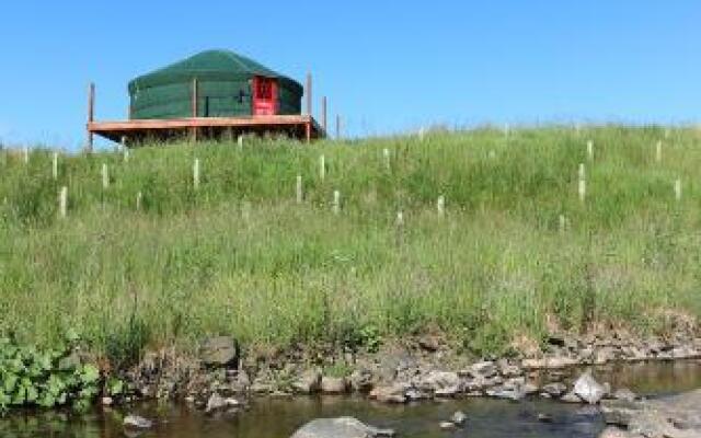 Ettrick Valley Yurts