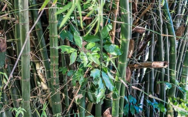 Magnificent 5-Bedroom Estate Villa, Sleeps 12