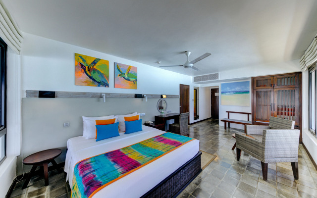 Hikka Tranz by Cinnamon