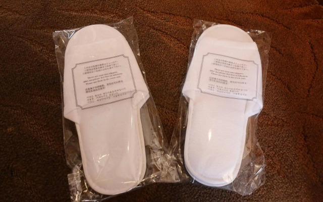 Shin Yokohama Grace Hotel