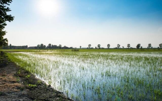 Azienda Agricola Le Colombare