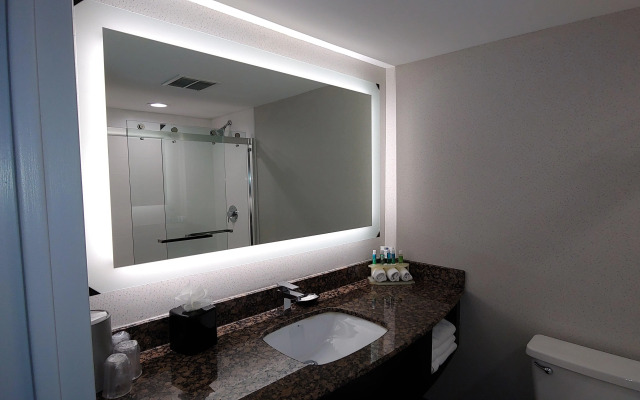 Holiday Inn Express Rolling Meadows - Schaumburg Area by IHG