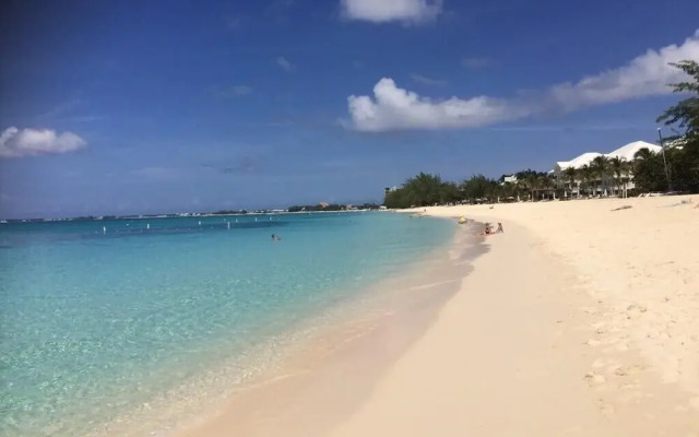 Suite 1 Beach Shuttle Concierge Garden Cats