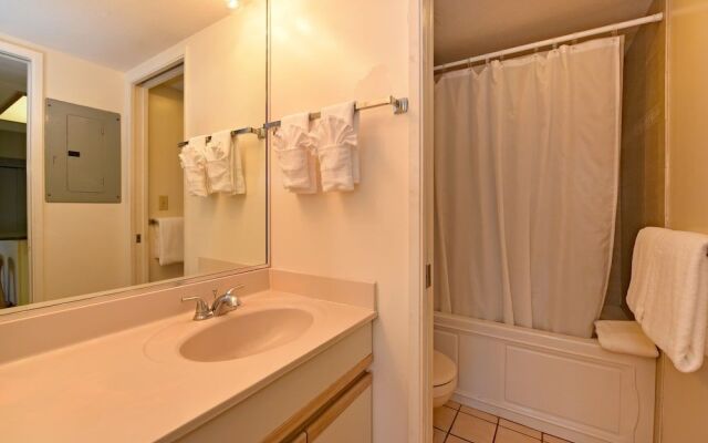 Maui Banyan Q204 by RedAwning