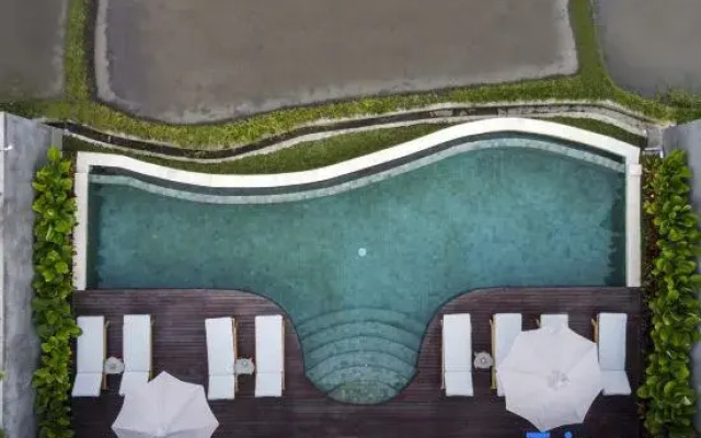 Villa Tenang – Modern 4BR, Private Pool, Ubud