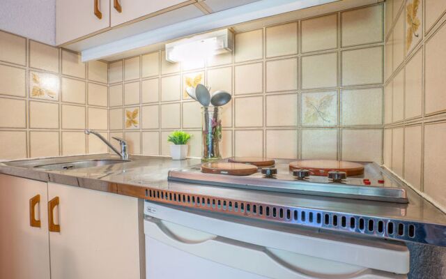 Le Jardin de Matisse