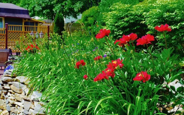 Rose Manor Inn B & B