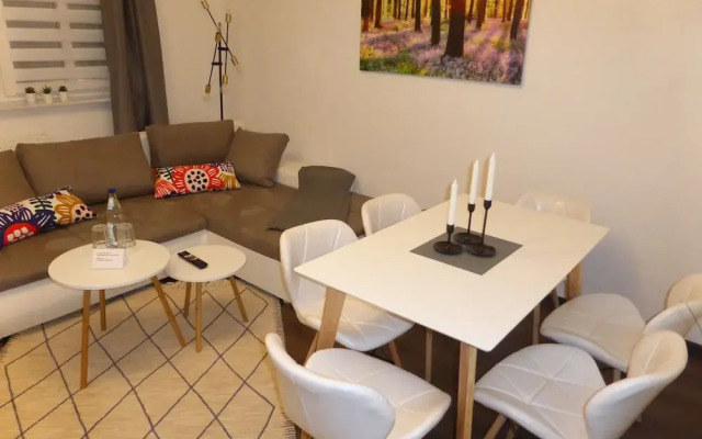Apartment Goethe