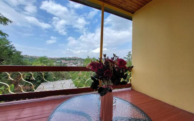 Guesthouse ''Door'' in Sighnaghi