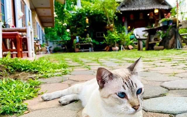 Thai Guesthouse