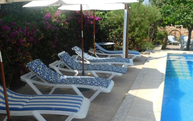 Spacious Villa Ideal Families and Groups