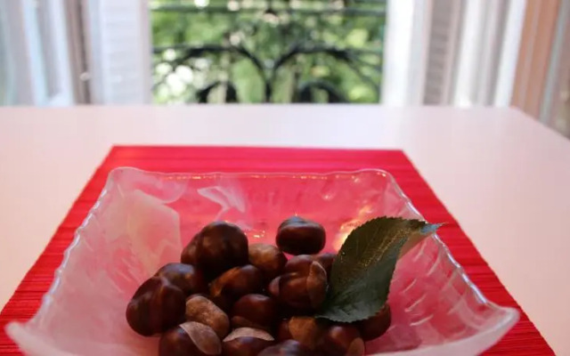 Studio Stay With Style