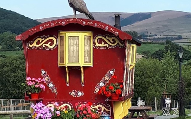 Rosie Traditional Gypsy Wagon