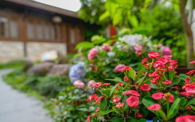 Ten year Boutique Hostel