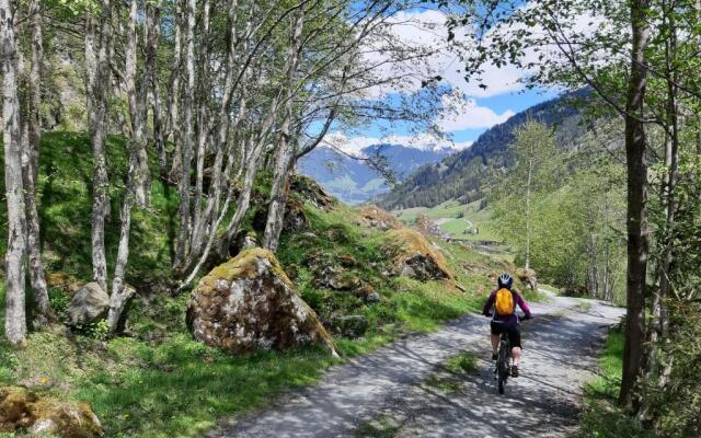 Appartement Hohe Tauern & Großvenediger