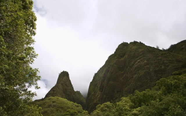 233 Market Street Unit C