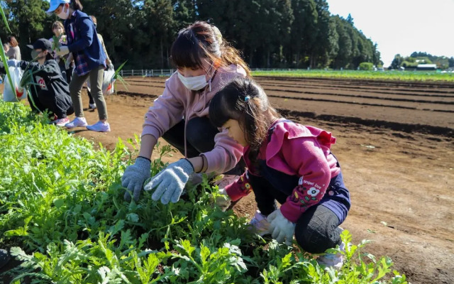 THE FARM Resort Japan