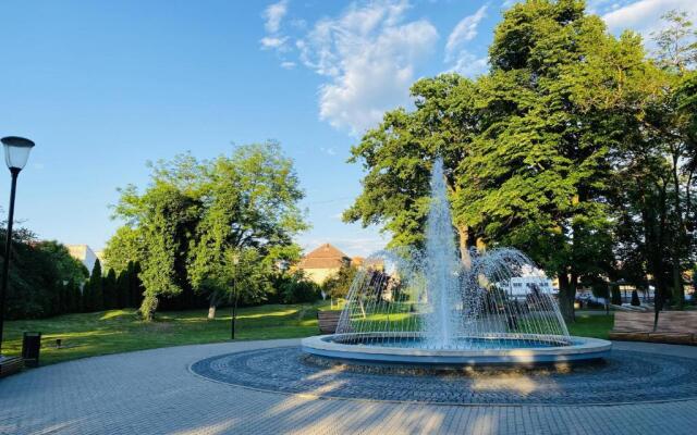 Central Apartment with Garden in Blaj
