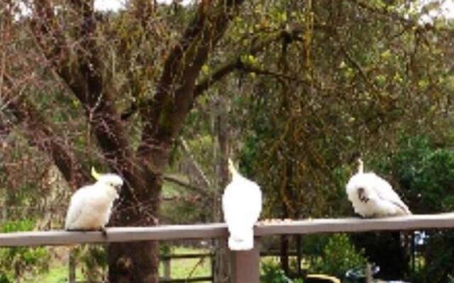 Australian Home Away at Wonga Park Brushy Creek